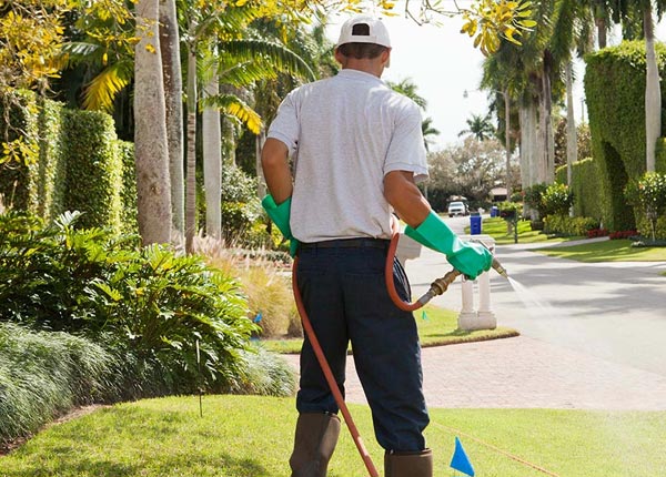 About Gepp AR Pest Control Pros